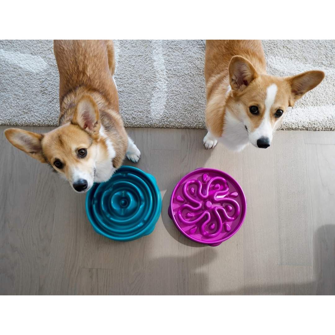 Outward Hound Fun Feeder Purple 7