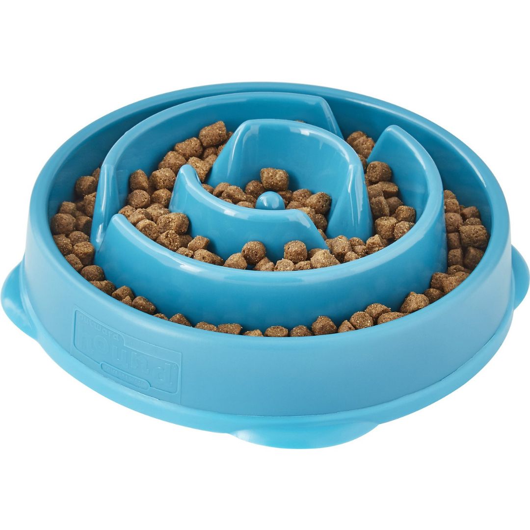 Outward Hound Fun Feeder Teal