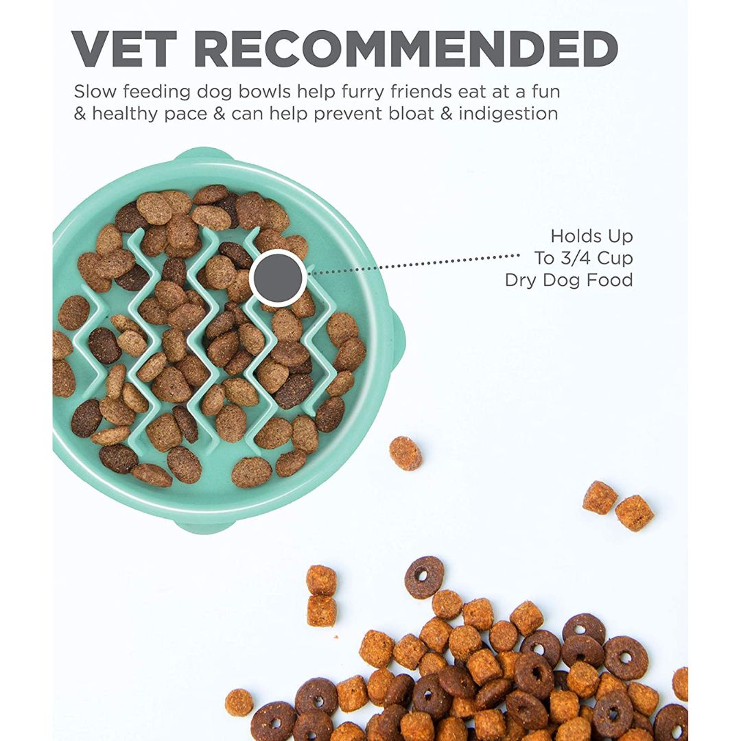 Outward Hound Fun Feeder Tiny Mint