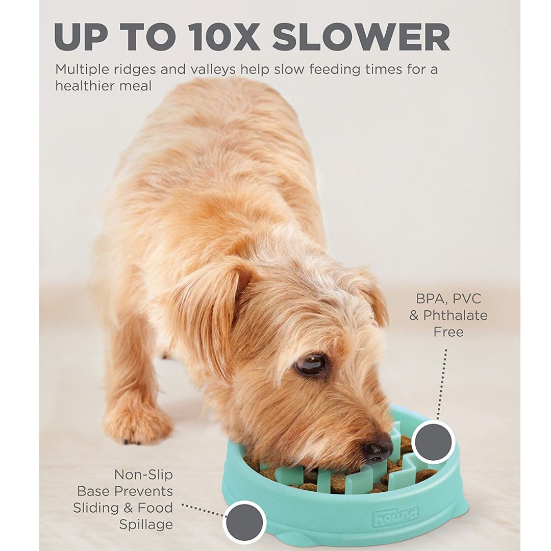 Outward Hound Fun Feeder Tiny Mint 3