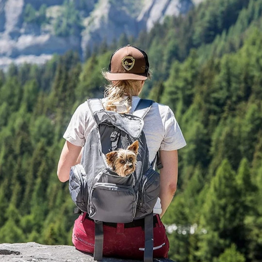 PoochPouch Backpack