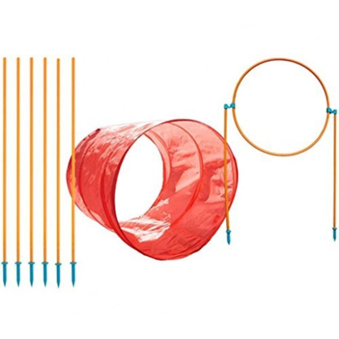 Outward Hound ZipZoom Outdoor Agility Kit