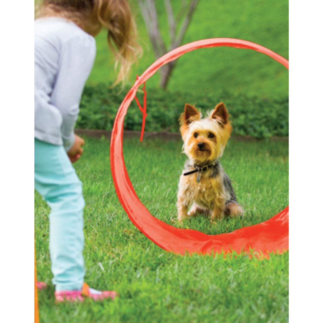 Outward Hound ZipZoom Outdoor Agility Kit
