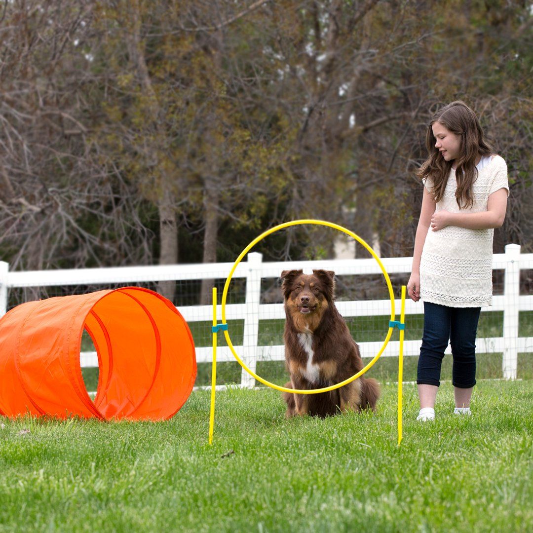 Outward Hound ZipZoom Outdoor Agility Kit 4