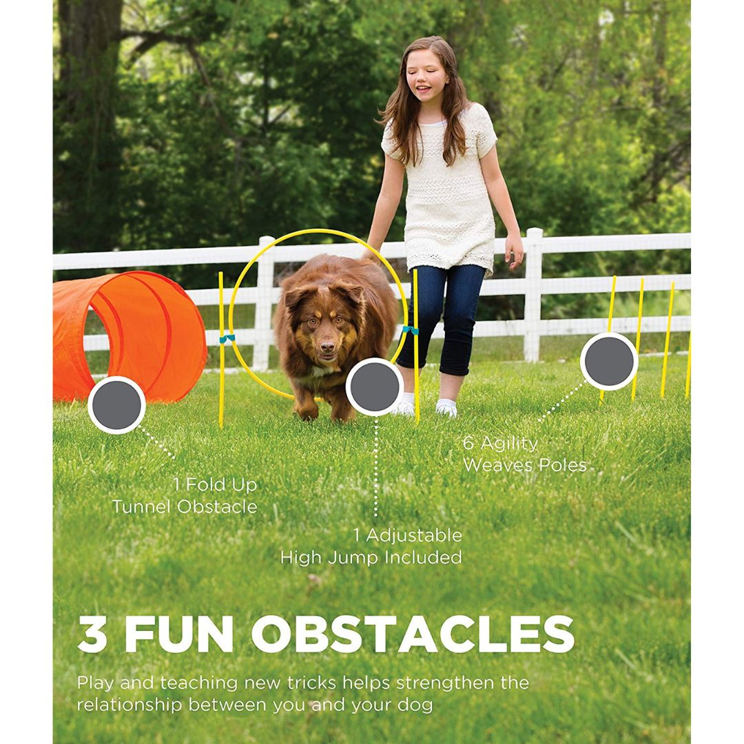 Outward Hound ZipZoom Outdoor Agility Kit 5
