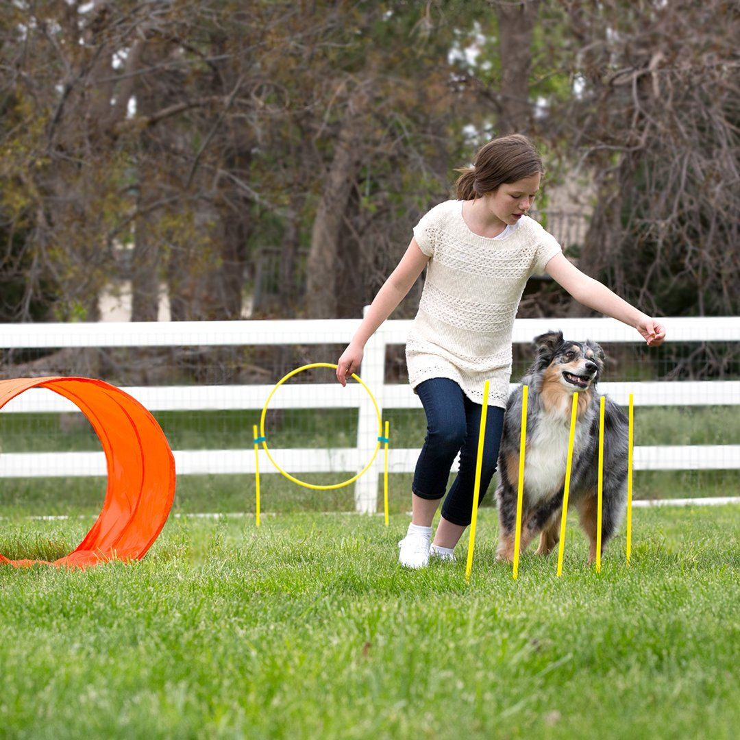 Outward Hound ZipZoom Outdoor Agility Kit 6
