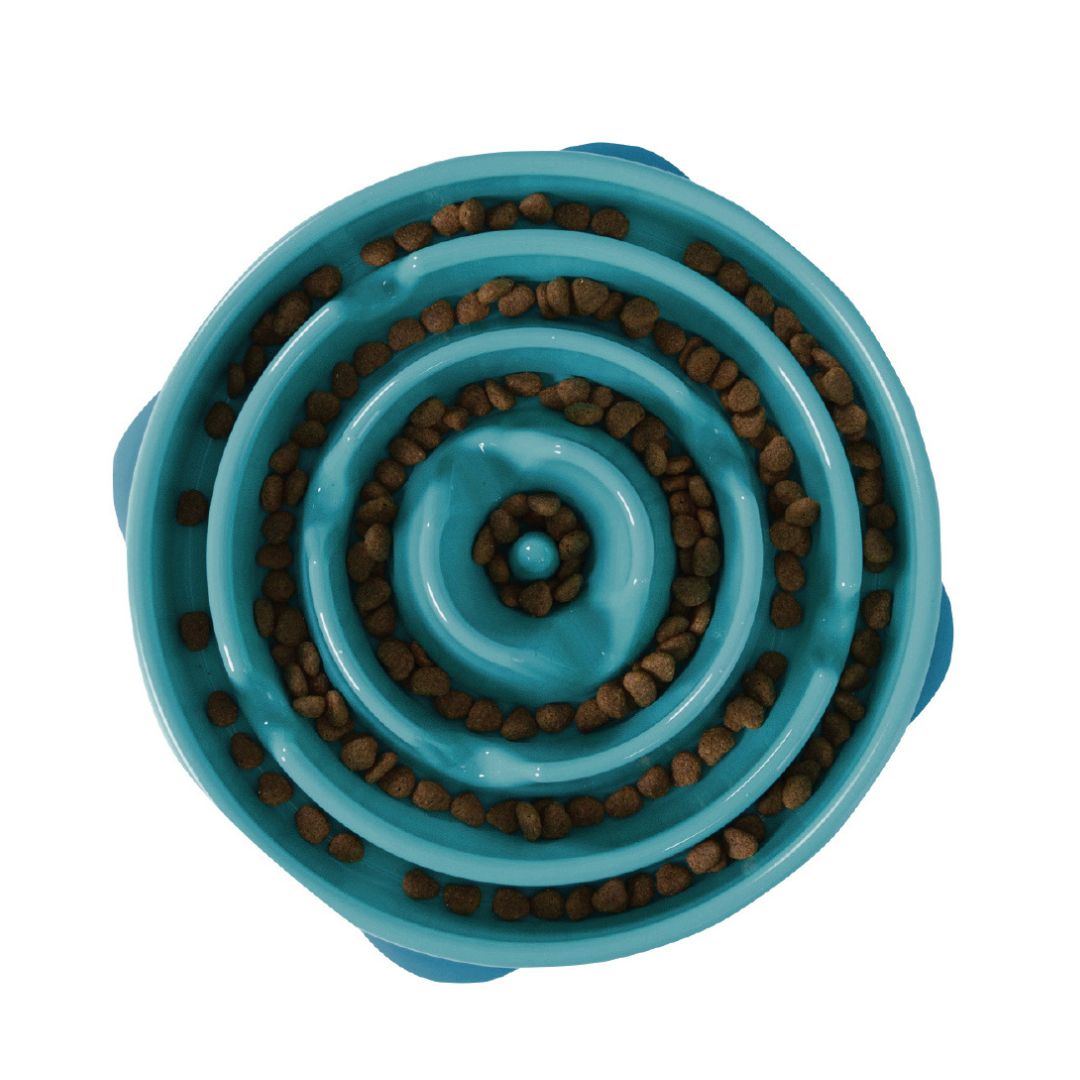 Outward Hound Fun Feeder Teal 5