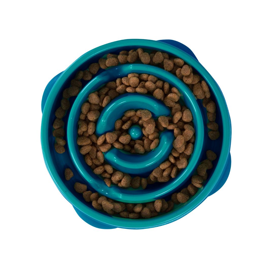 Outward Hound Fun Feeder Teal 6