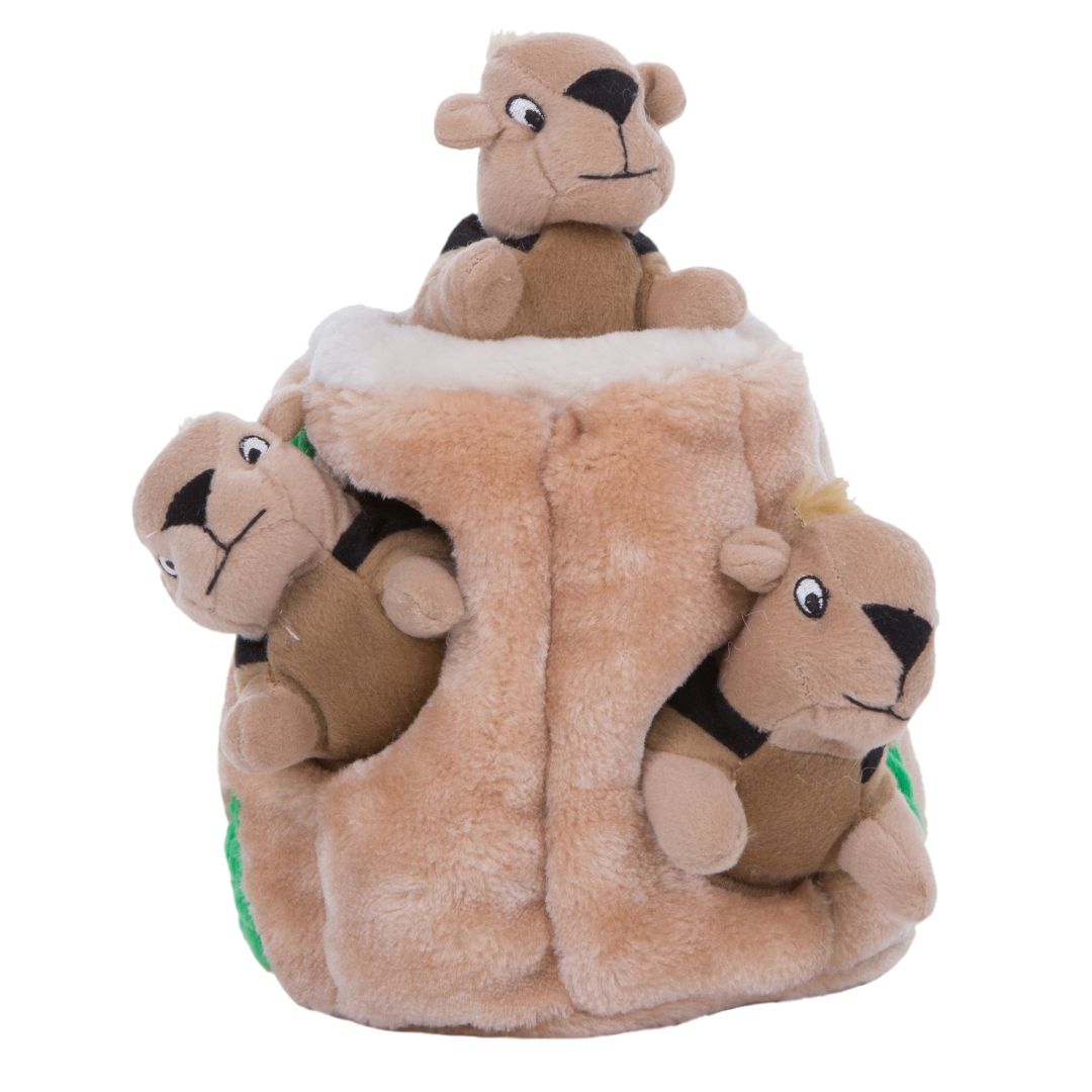 Outward Hound Hide-A-Squirrel