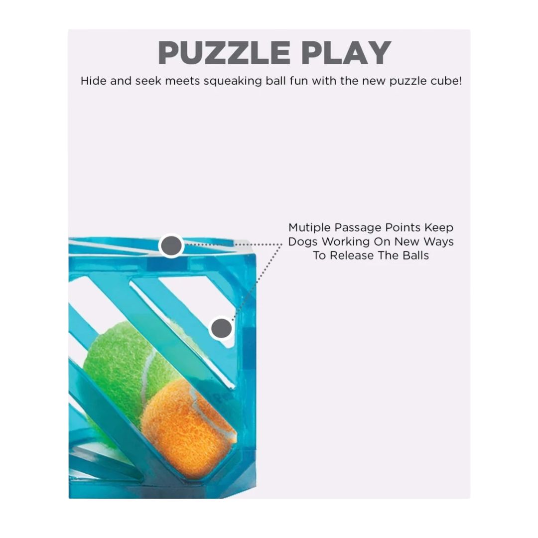 Outward Hound Puzzle Cube Dog Toy