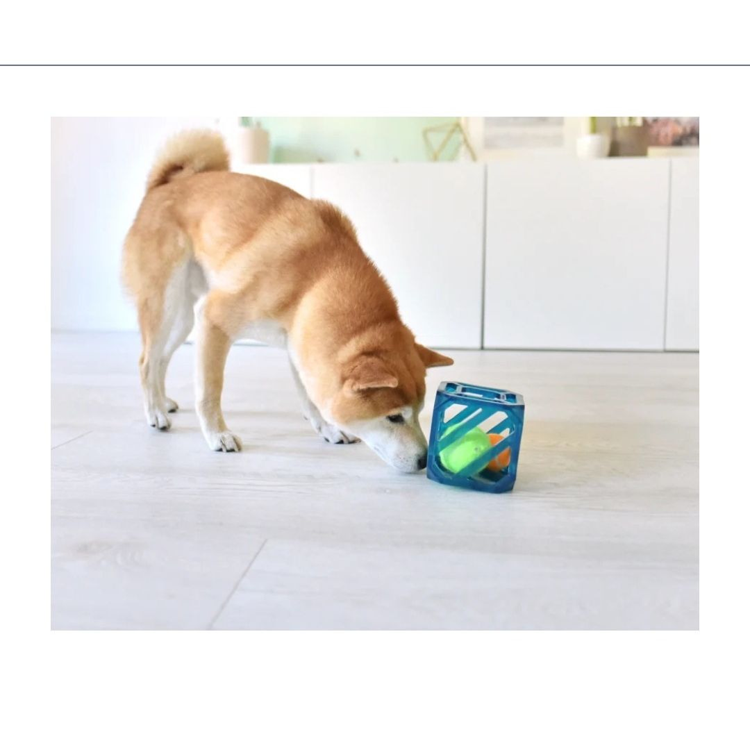 Outward Hound Puzzle Cube Dog Toy