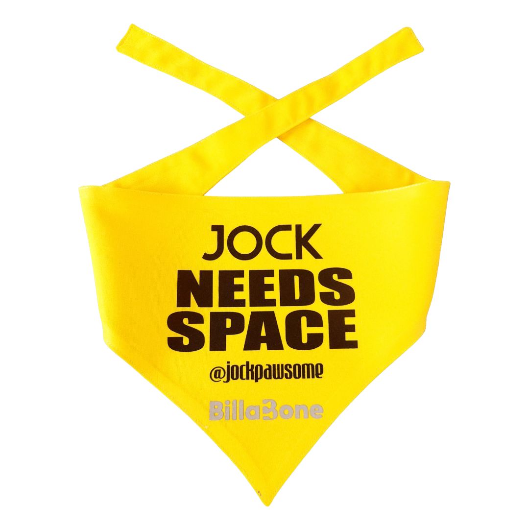 Billabone "Personalize Your Own" Bandana YELLOW