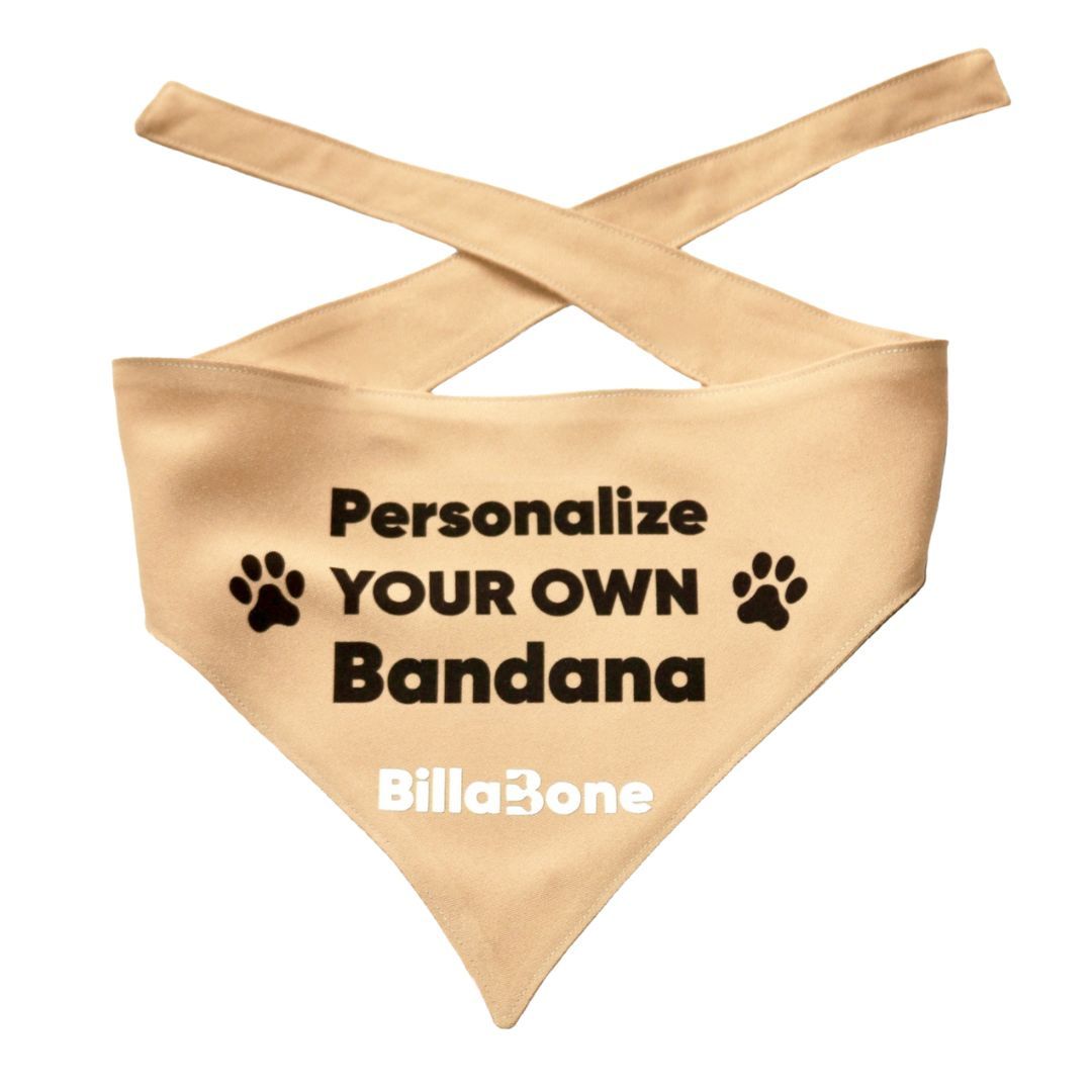 Billabone "Personalize Your Own" Bandana BEIGE
