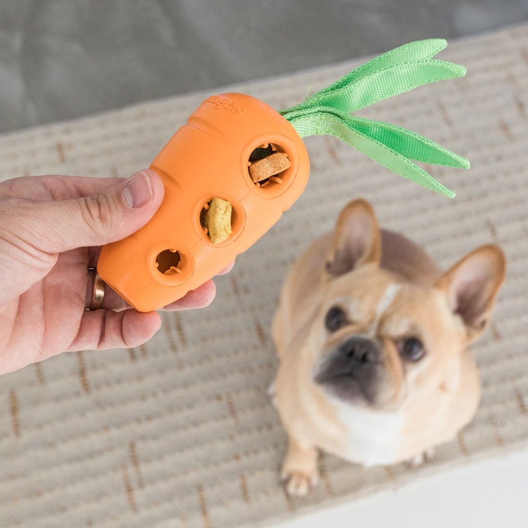 Petstages Carrot Stuffer
