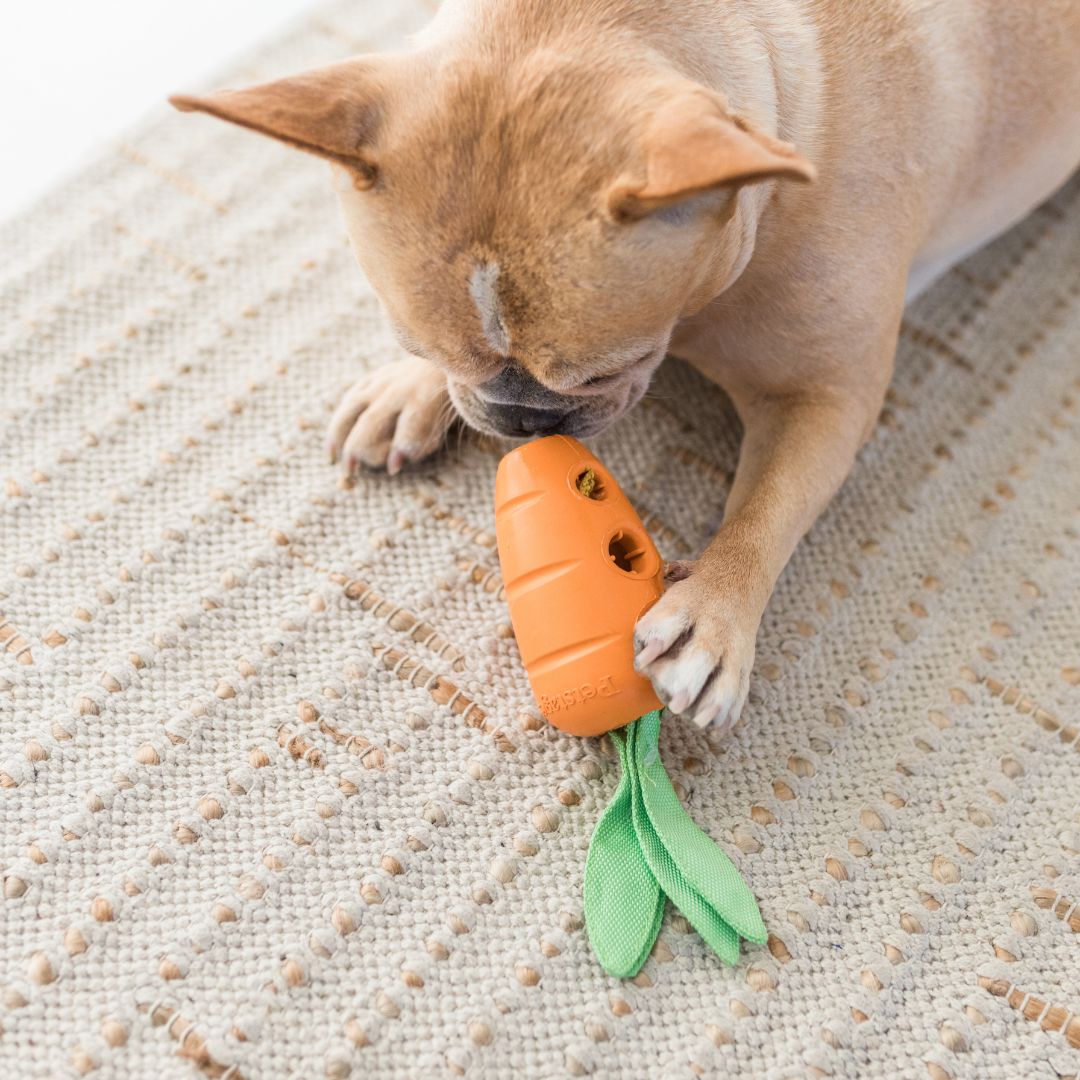 Petstages Carrot Stuffer