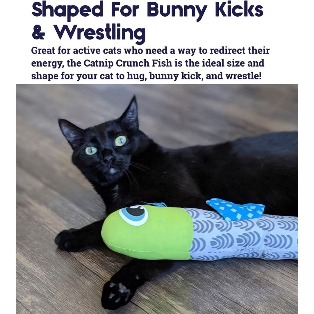 Petstages Catnip Crunch Fish