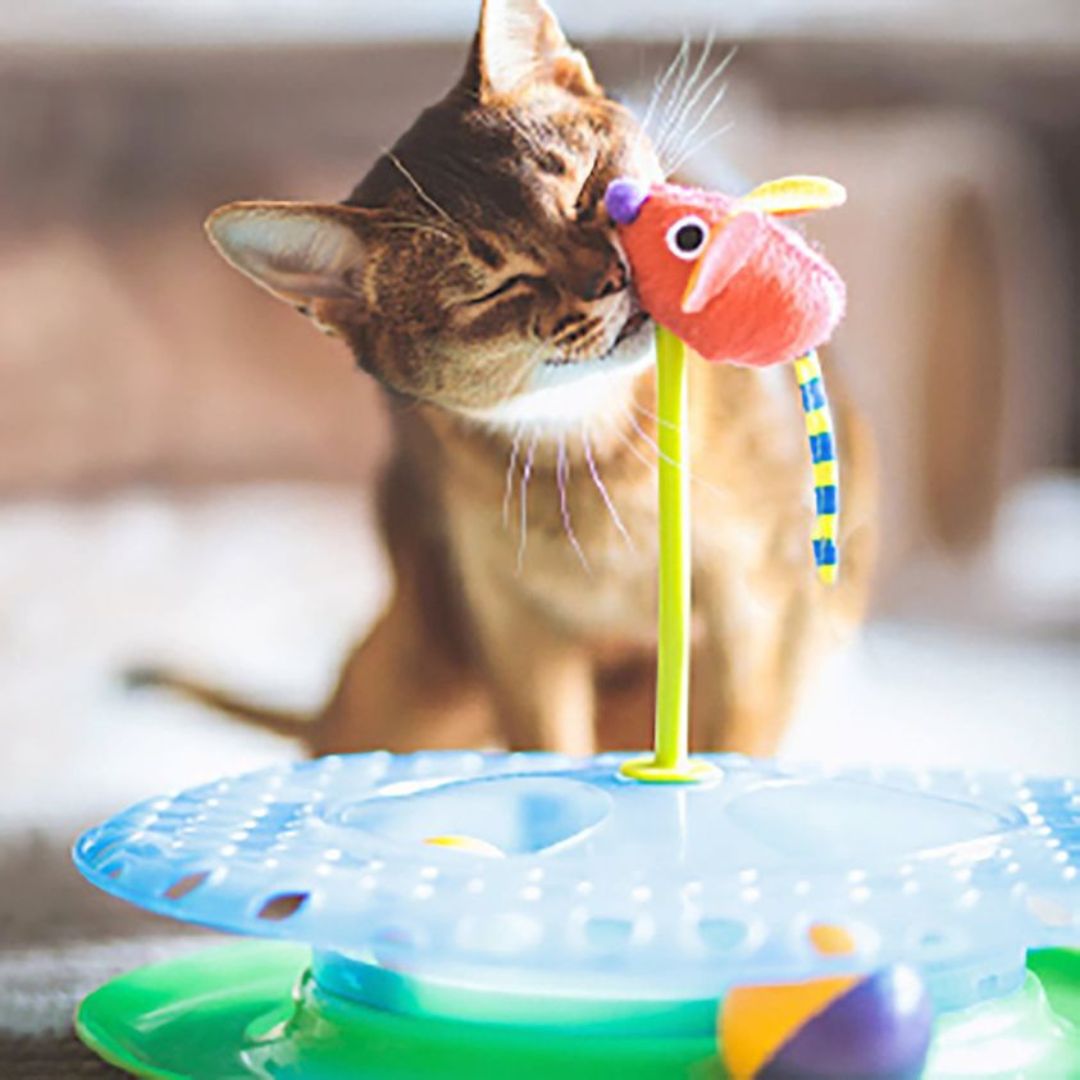 Petstages® Cheese Chase