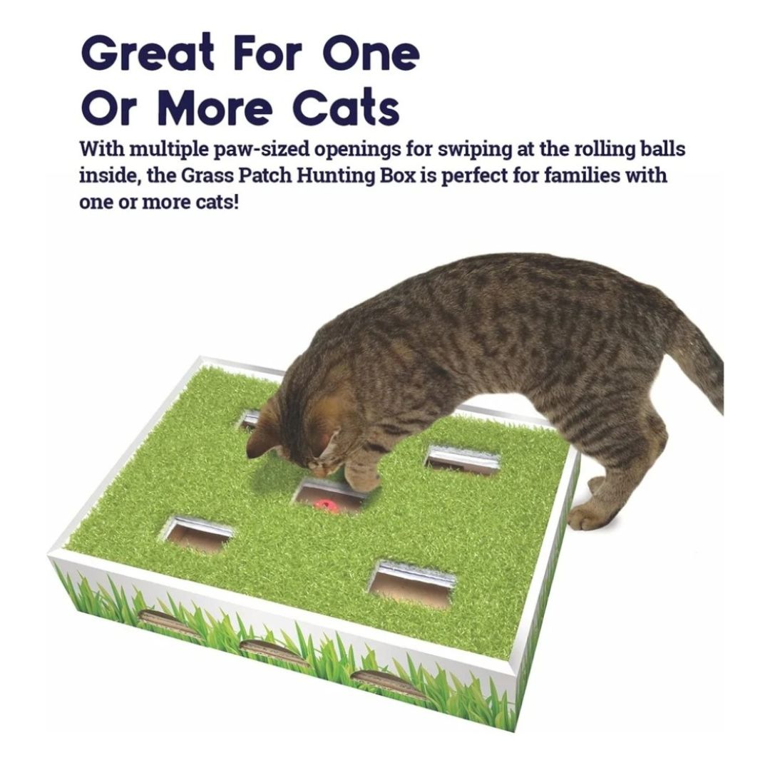 Petstages® Grass Patch Hunting Box