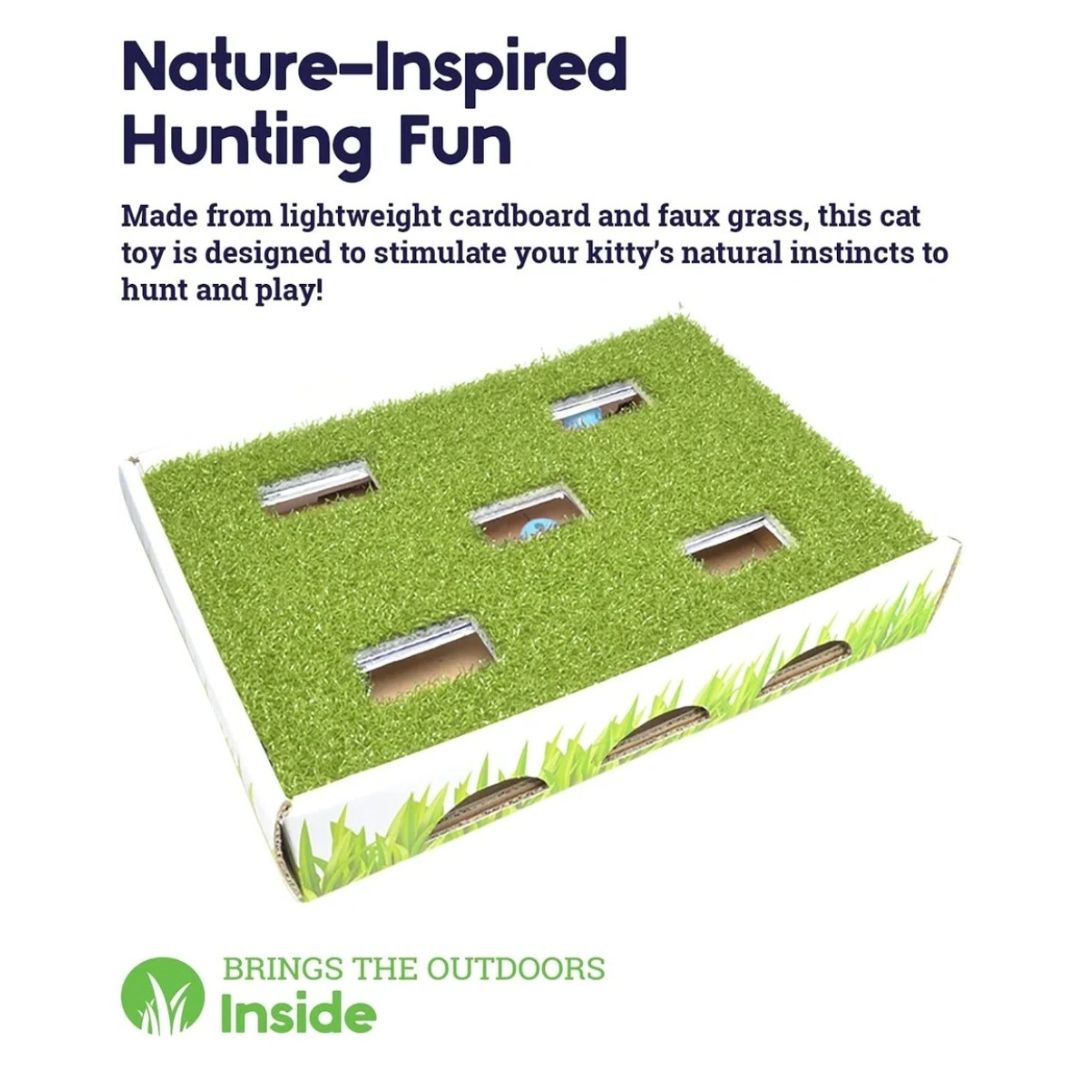 Petstages® Grass Patch Hunting Box