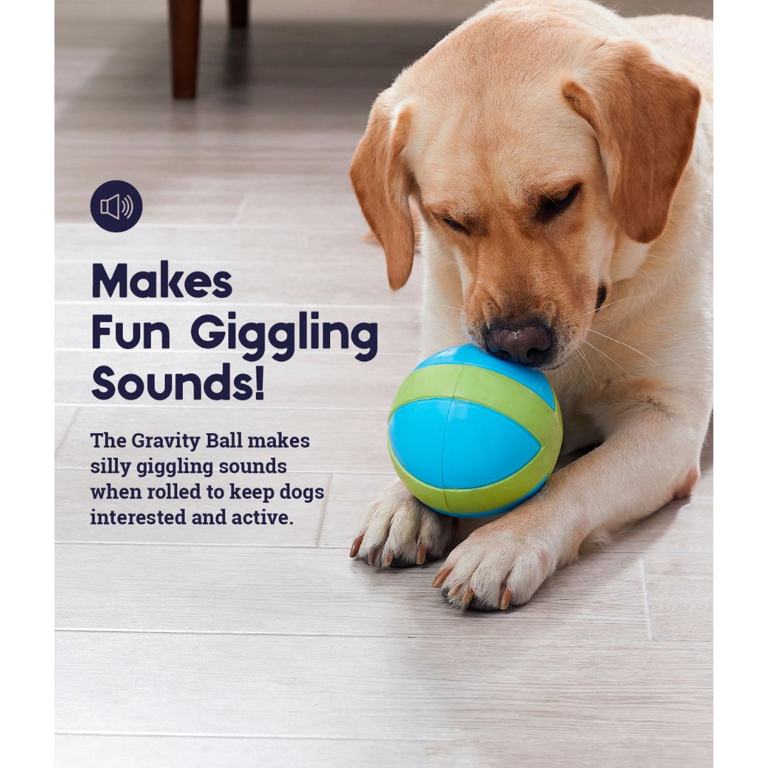 Petstages Gravity Ball