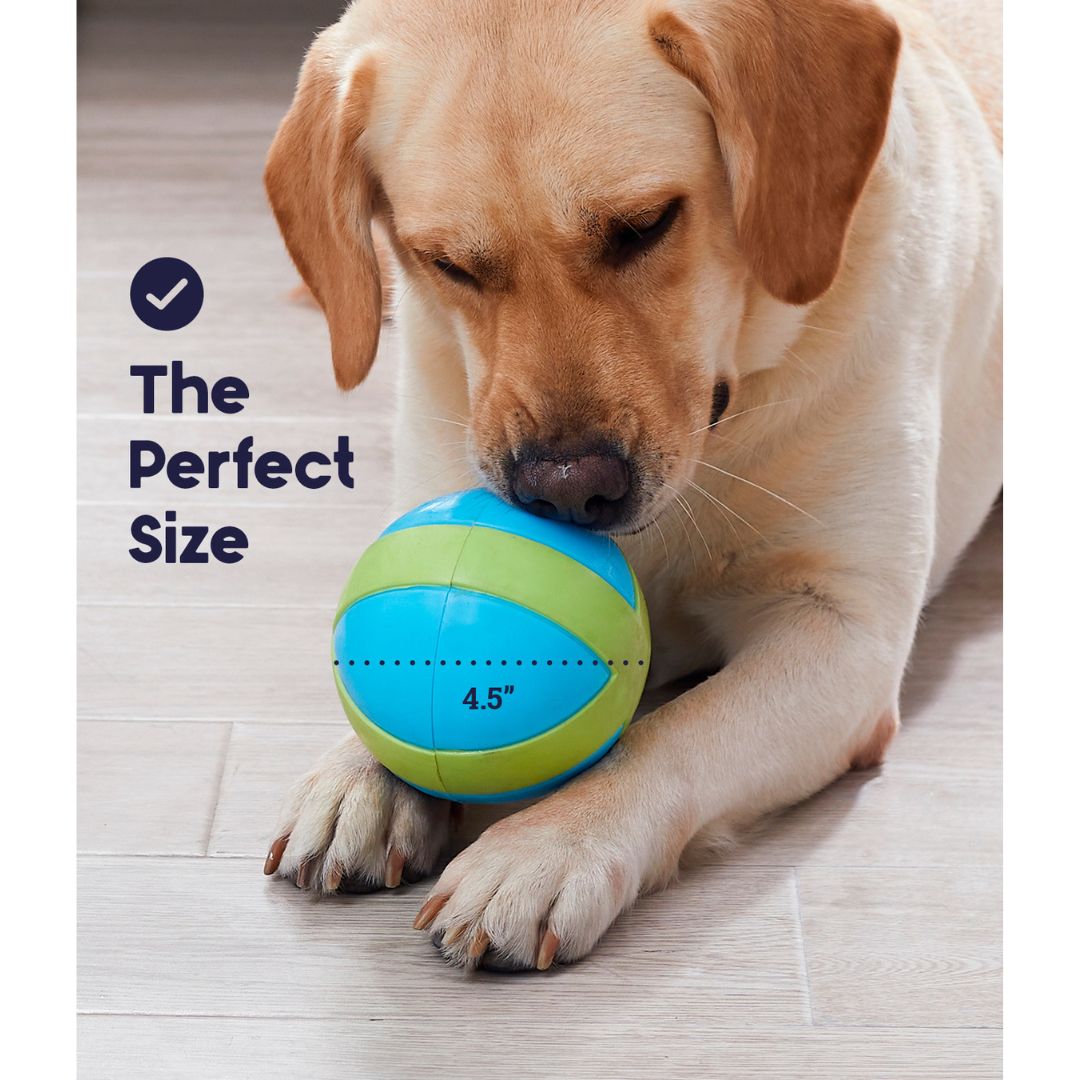 Petstages Gravity Ball