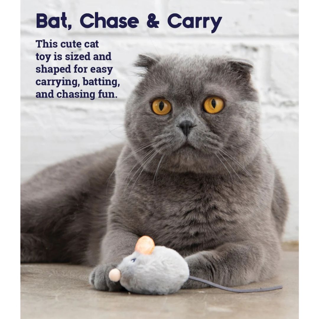 Grey Squeak Squeak Mouse
