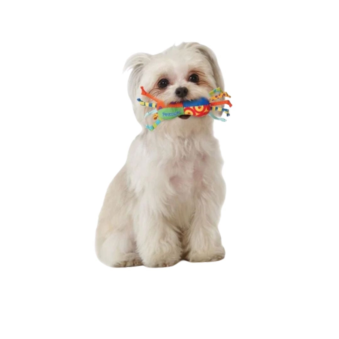 Petstages Mini Chew Starter Pack