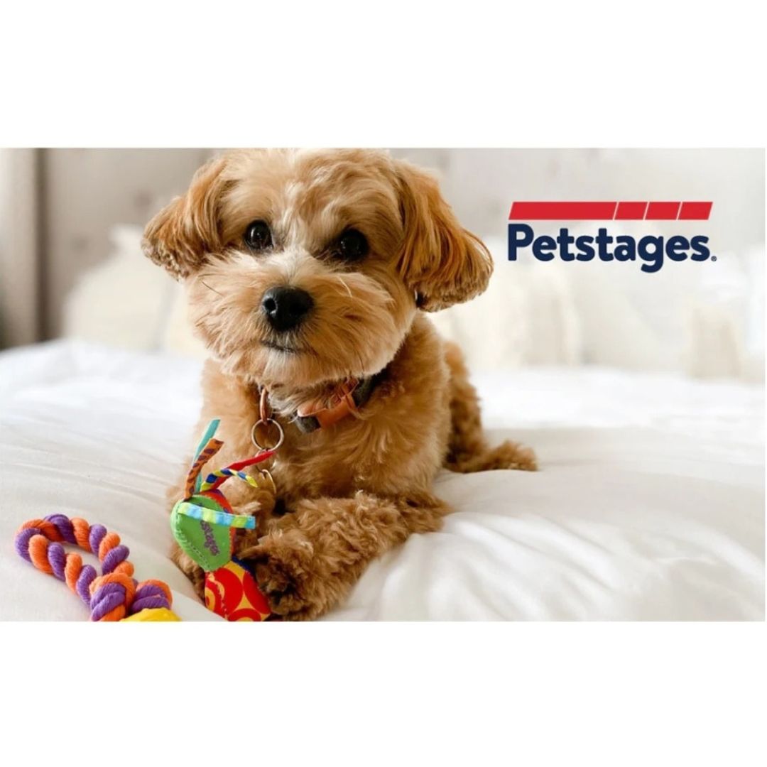 Petstages Mini Chew Starter Pack