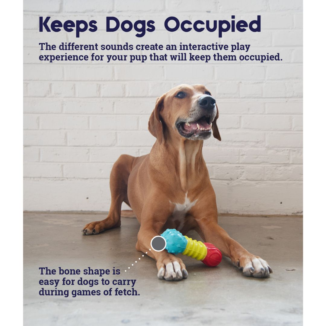 Petstages Multi Squeak Bone