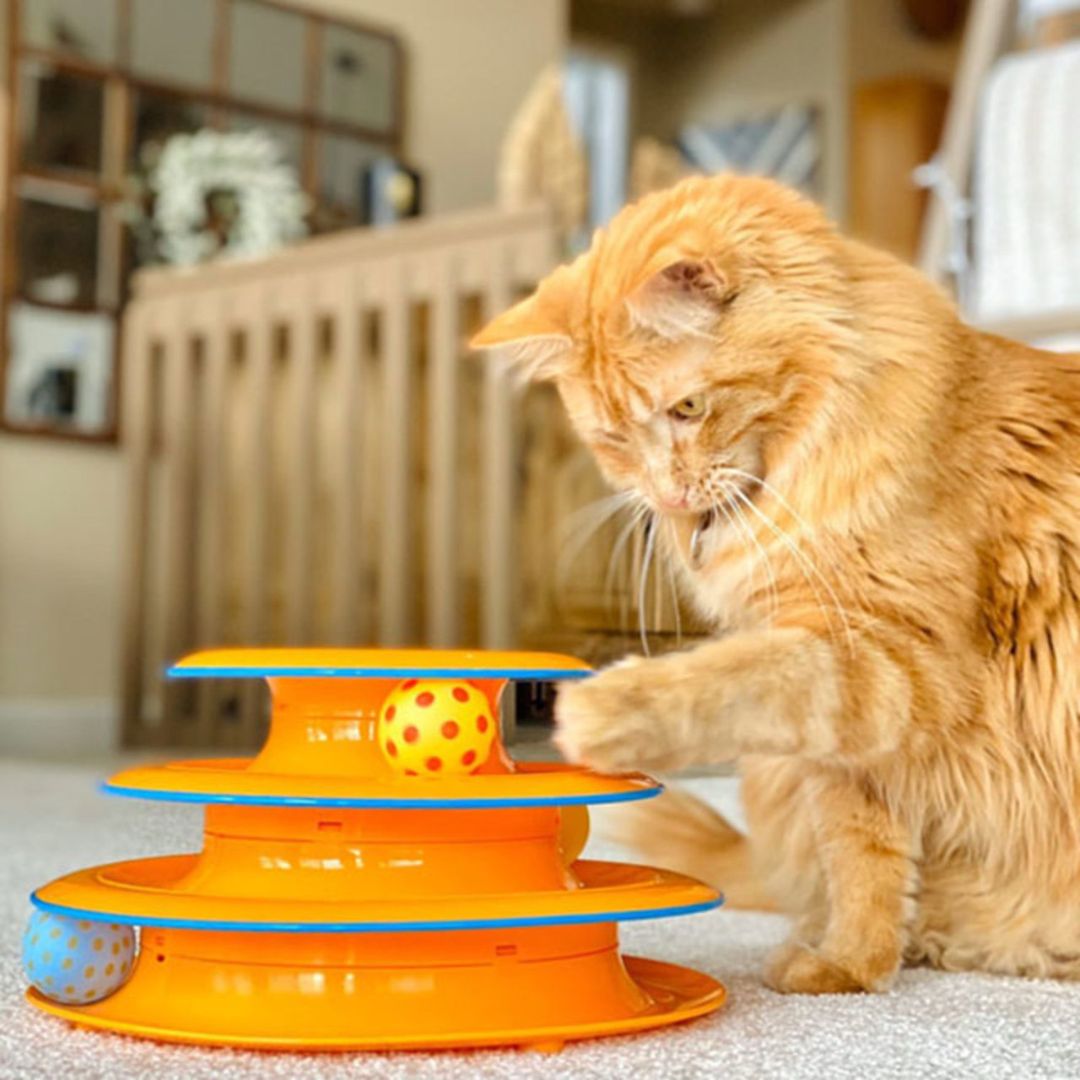 Petstages® Tower of Tracks