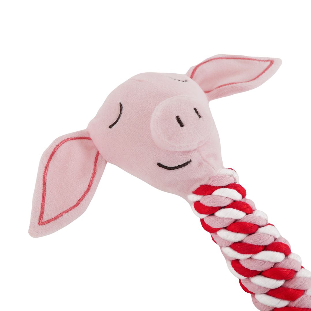 Pig in Blanket Cat Toy