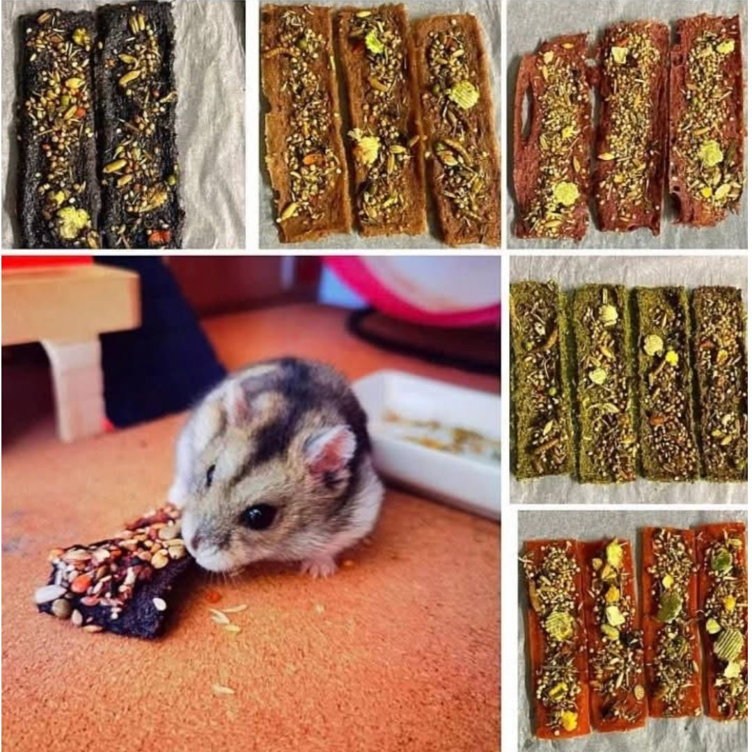 "Chocolate" Bark Treat & Chew Toy For Hamsters & Rats