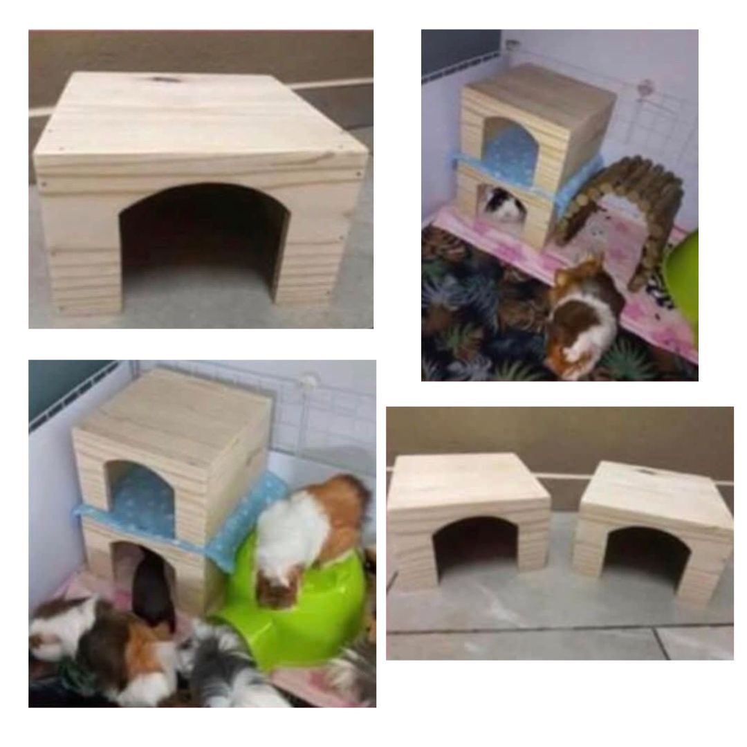 Guinea Pig Hide