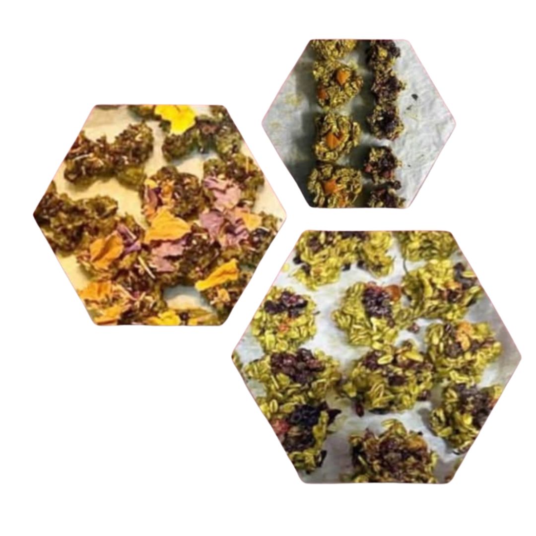 Immune Booster Cookies For Small Animals