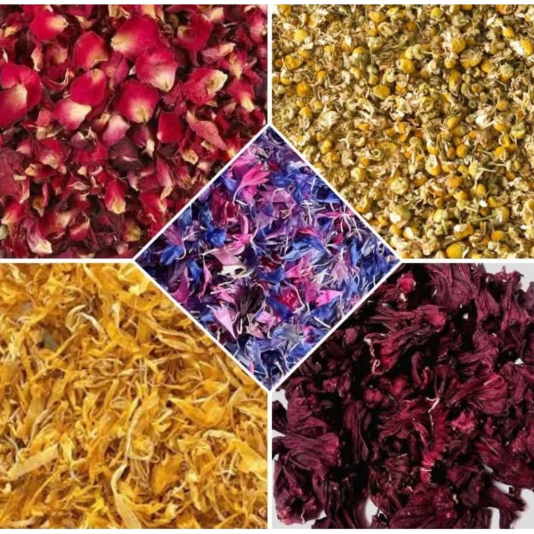 Forage Mix - Rainbow Mix 25g