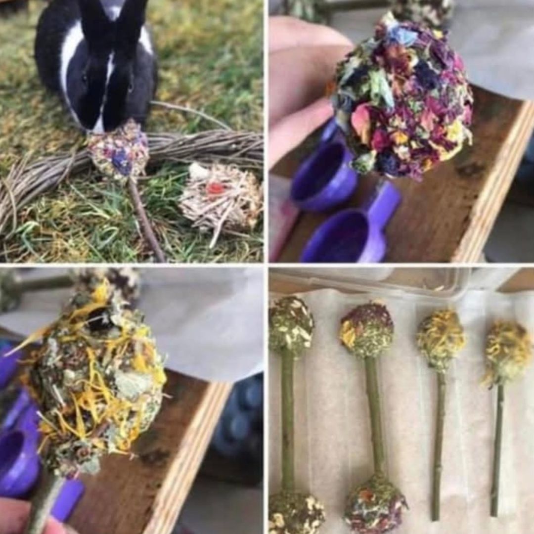 Timothy Herb & Flower Pops and Dumbbells