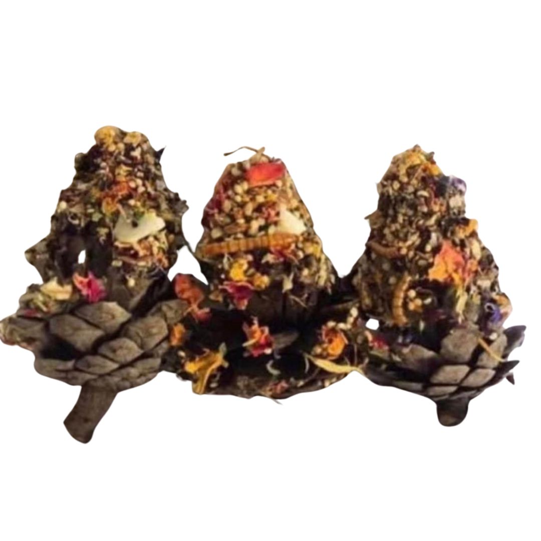Pine Cone Nibble & Play For Small Animals