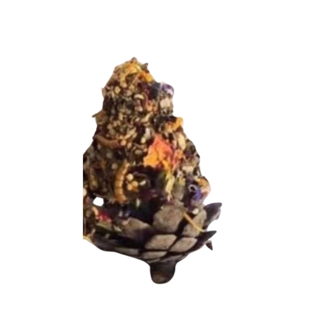 Pine Cone Nibble & Play For Small Animals
