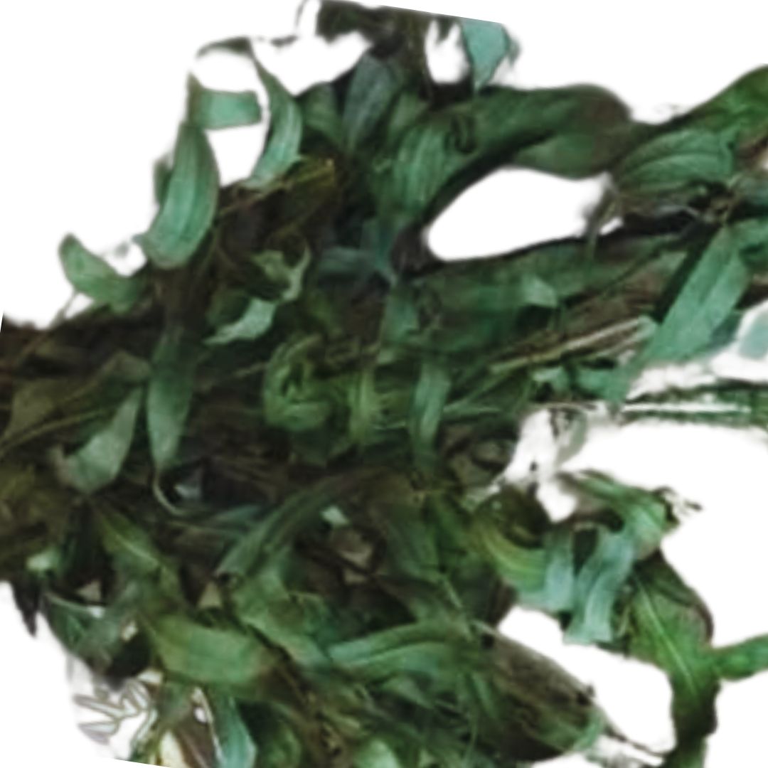 Willow Spray With Or Without Holder