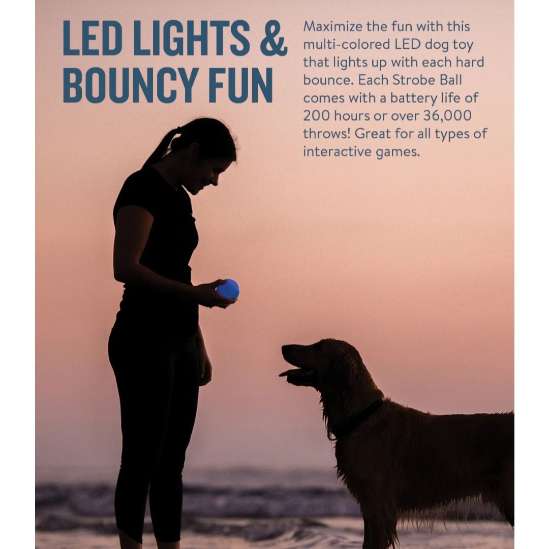 Planet Dog Orbee-Tuff Strobe Ball