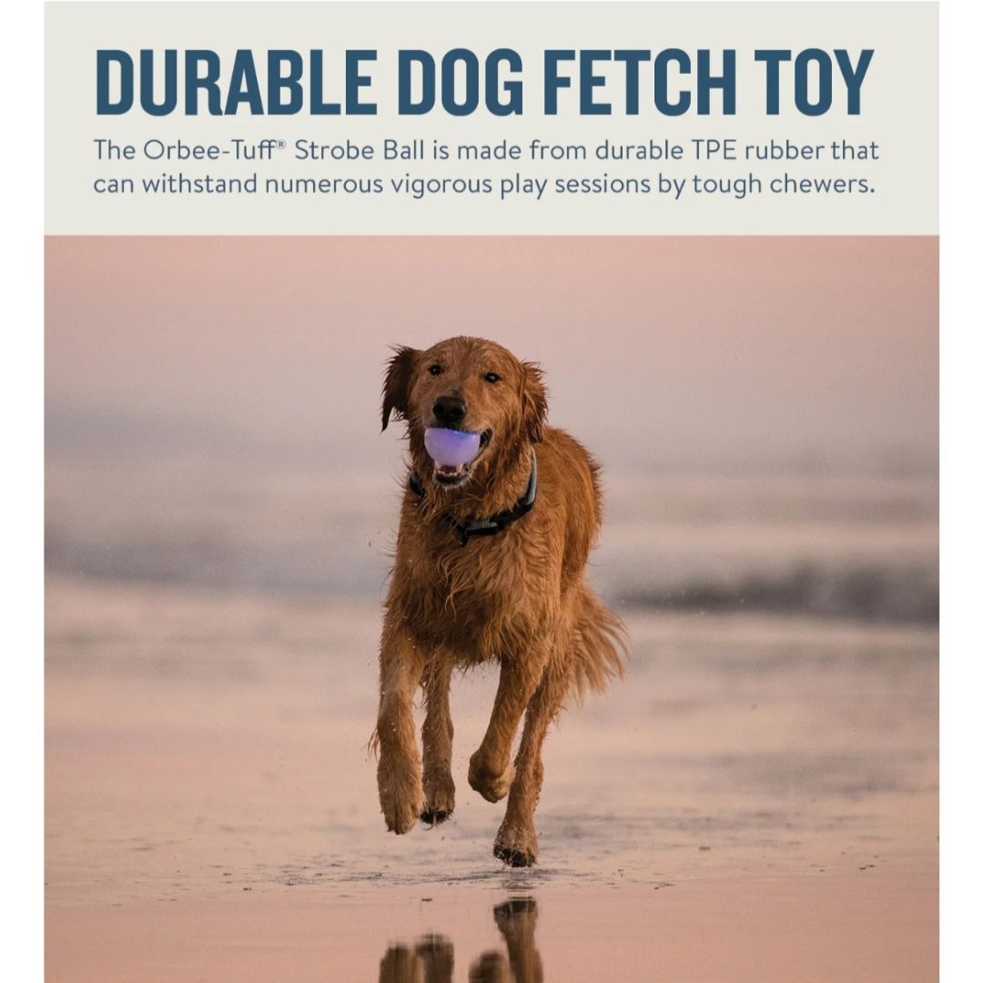 Planet Dog Orbee-Tuff Strobe Ball