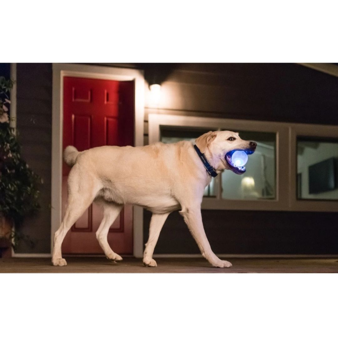 Planet Dog Orbee-Tuff Strobe Ball