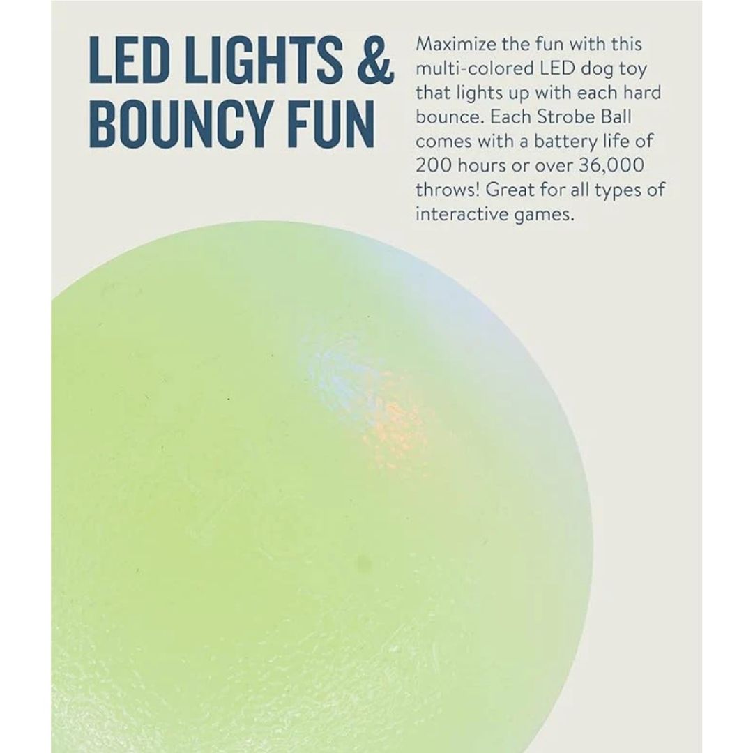 Planet Dog Orbee-Tuff Strobe Ball