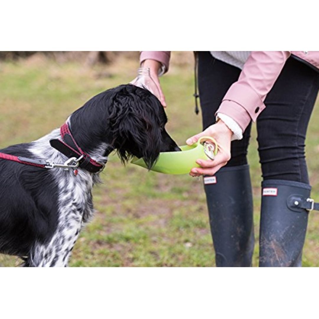 Portable Leaf Travel Bottle