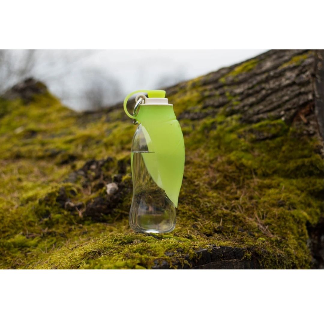 Portable Leaf Travel Bottle