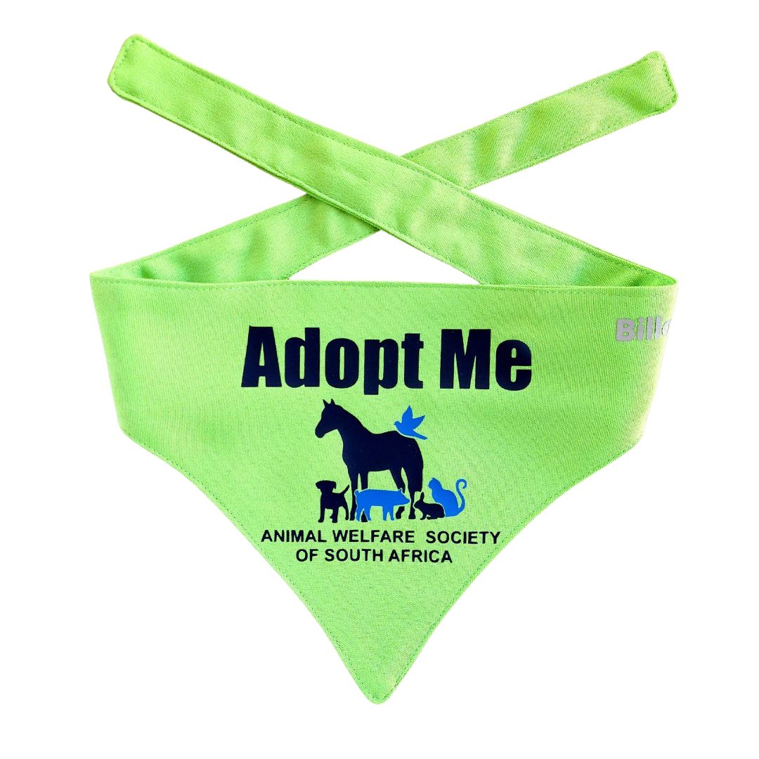 Billabone "Personalize Your Own" Bandana GREEN