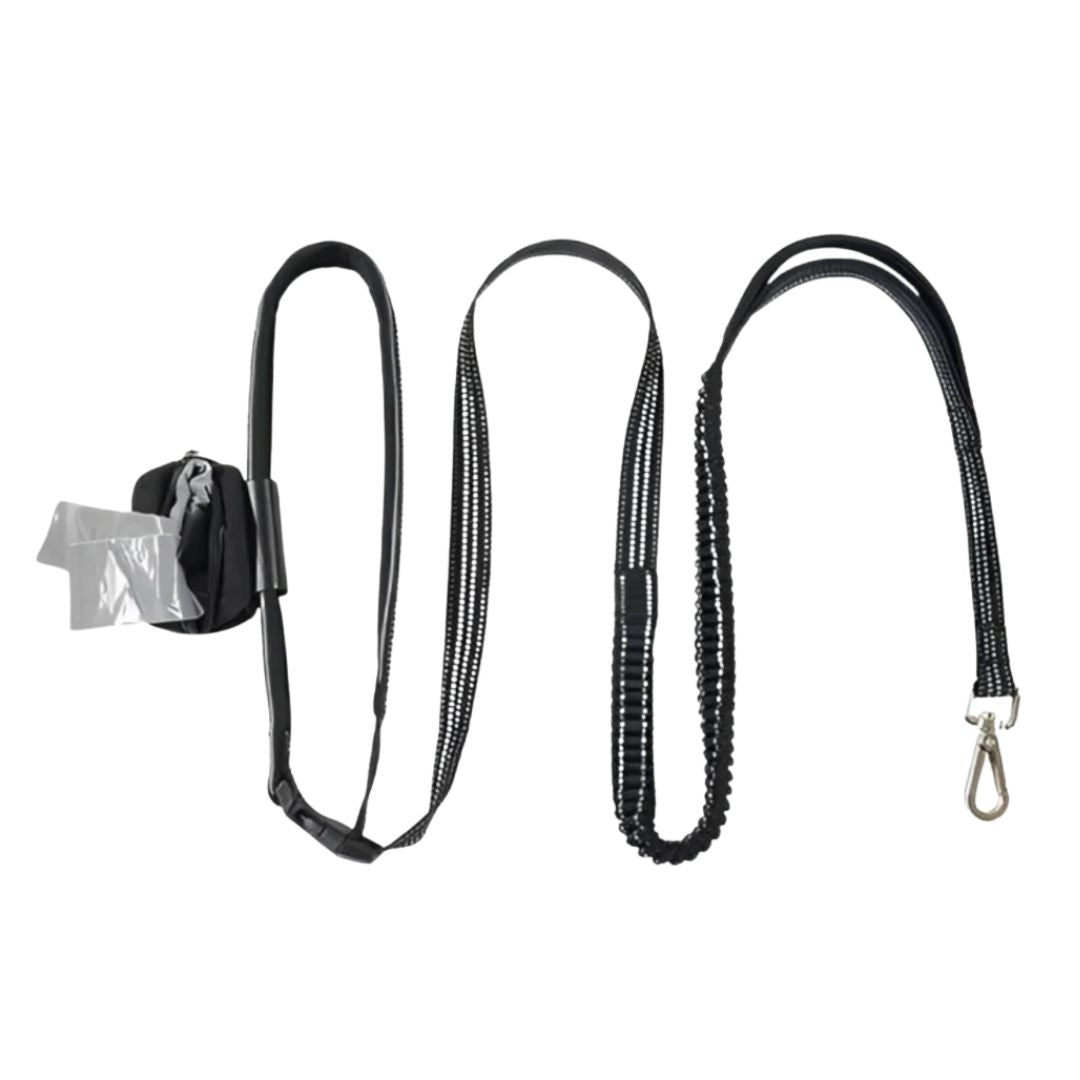 Reflective Exercise Waist Lead