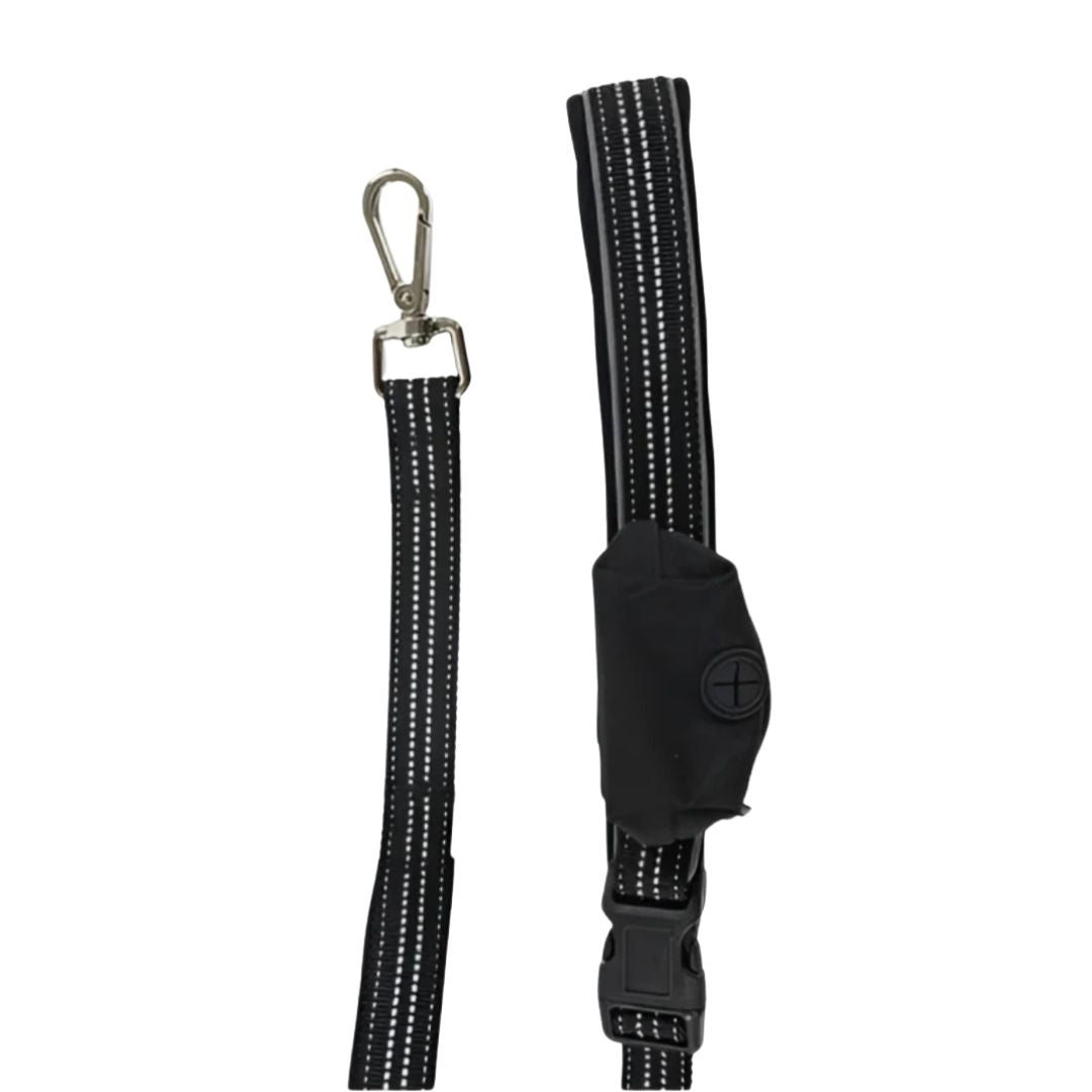 Reflective Exercise Waist Lead