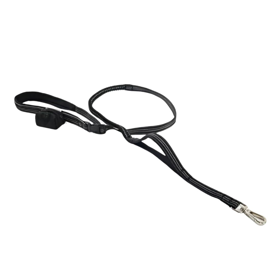 Reflective Exercise Waist Lead