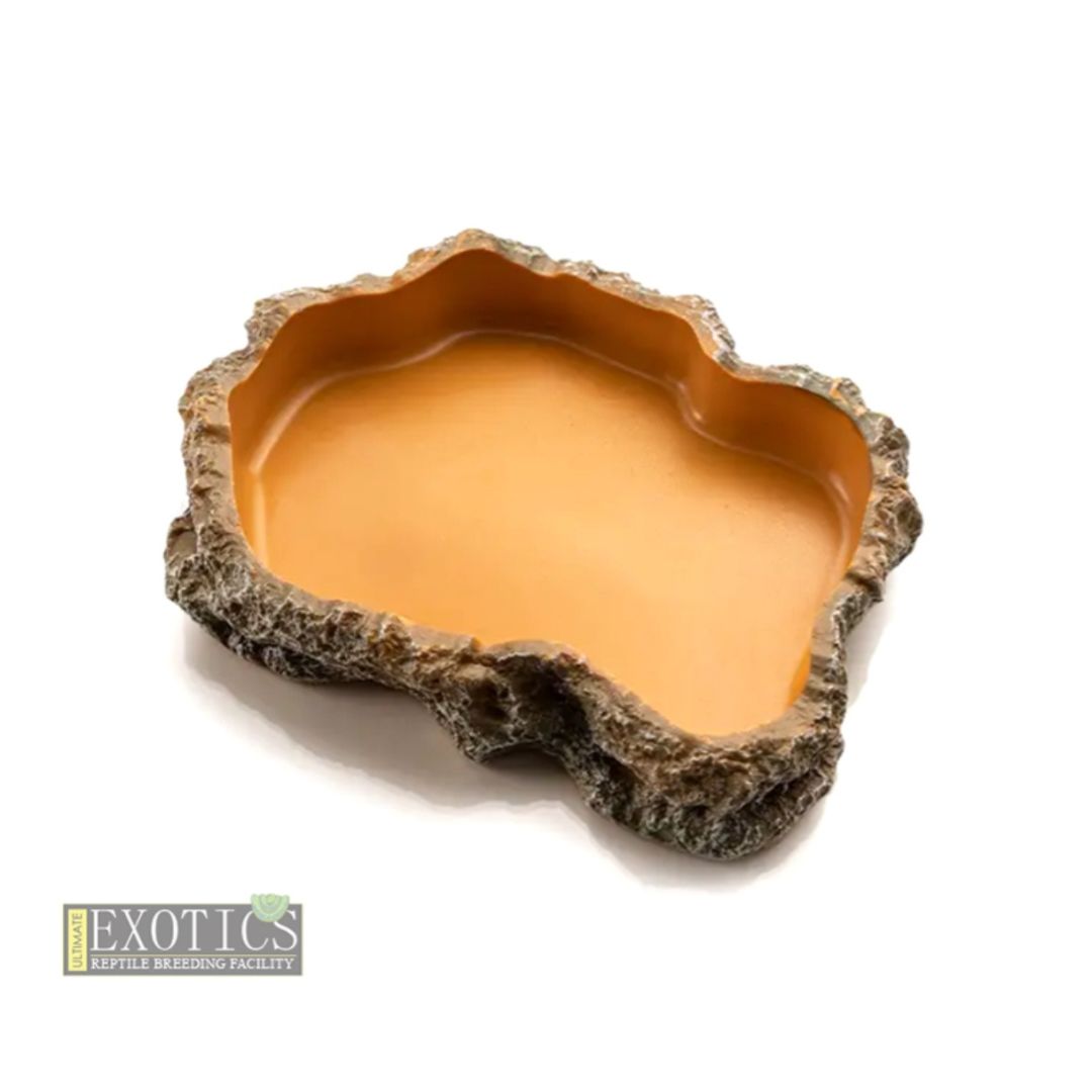Reptile Food Dish – Large